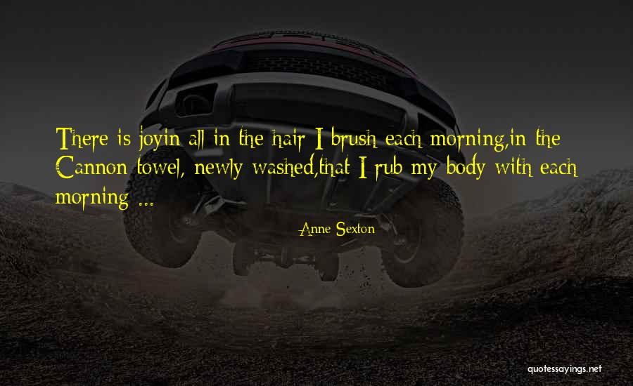 Eimile Rudometkin Quotes By Anne Sexton Eimile Rudometkin Quotes By Anne Sexton