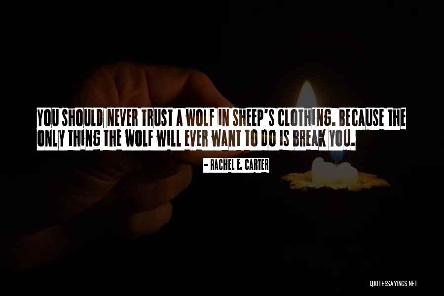 Einat Steinberg Quotes By Rachel E. Carter Einat Steinberg Quotes By Rachel E. Carter