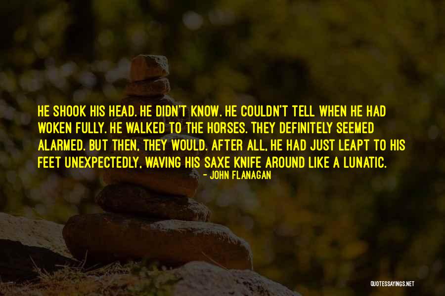 Einfluss Duden Quotes By John Flanagan Einfluss Duden Quotes By John Flanagan