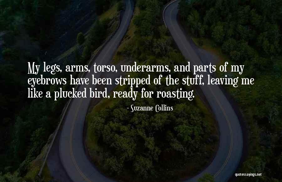 Eingelegter Quotes By Suzanne Collins Eingelegter Quotes By Suzanne Collins
