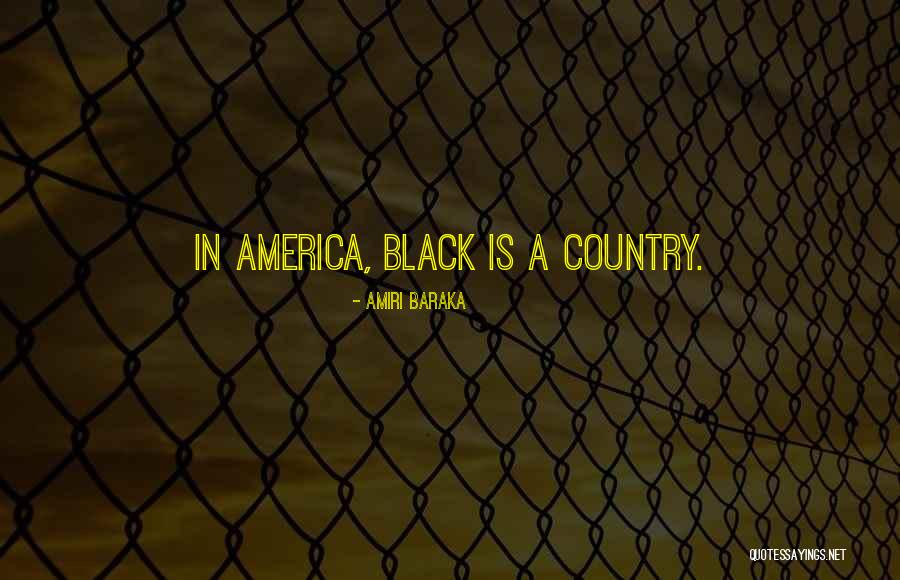 Einhorn Ace Quotes By Amiri Baraka Einhorn Ace Quotes By Amiri Baraka
