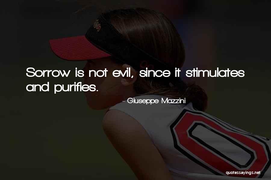 Einkaufswagen Quotes By Giuseppe Mazzini Einkaufswagen Quotes By Giuseppe Mazzini