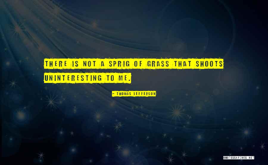 Einstein Academy Quotes By Thomas Jefferson Einstein Academy Quotes By Thomas Jefferson