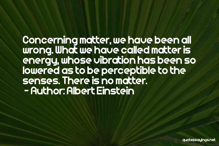 Einstein Vibration Quotes By Albert Einstein