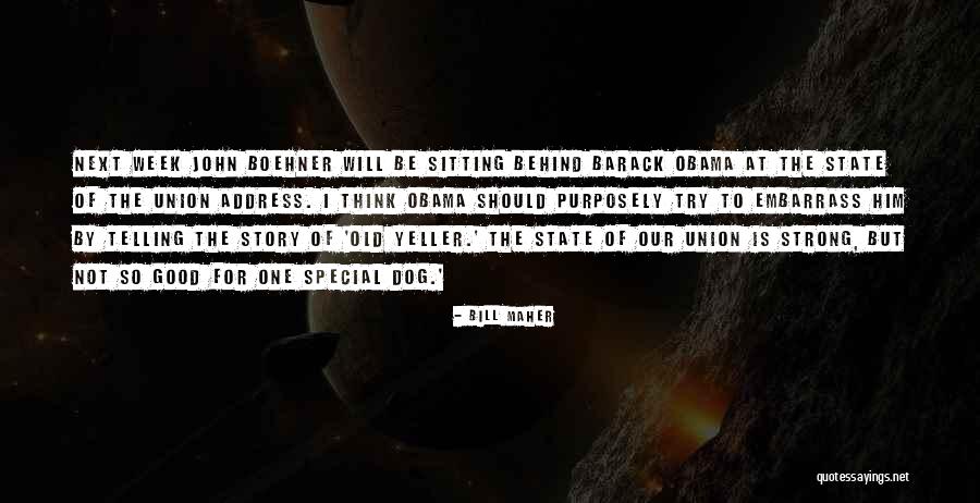 Einsteinian Craze Quotes By Bill Maher Einsteinian Craze Quotes By Bill Maher