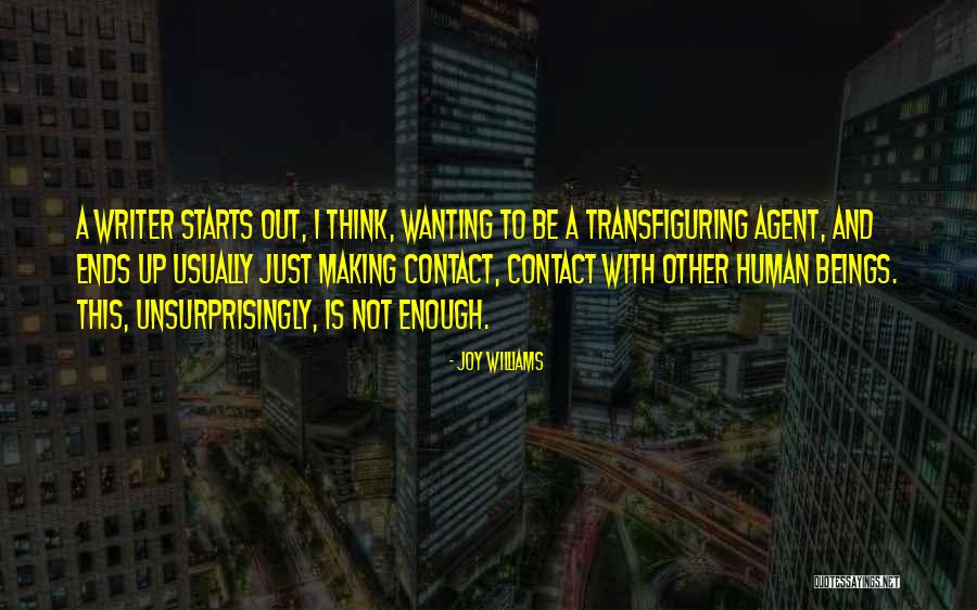 Einwechter And Hyatt Quotes By Joy Williams Einwechter And Hyatt Quotes By Joy Williams