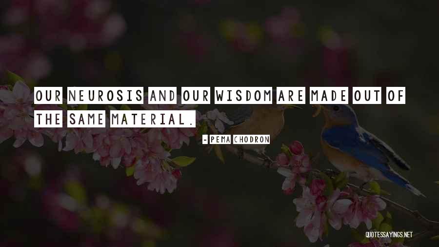 Eippers Bakery Quotes By Pema Chodron