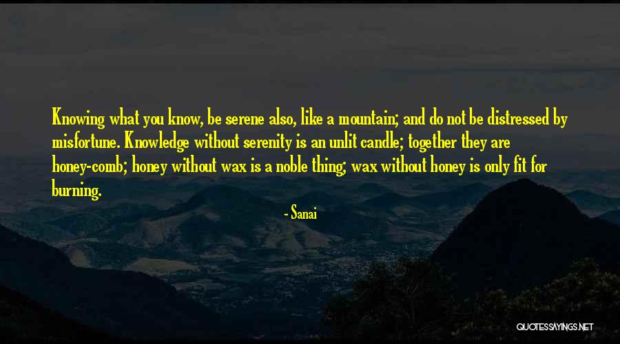 Eirian Music Quotes By Sanai Eirian Music Quotes By Sanai