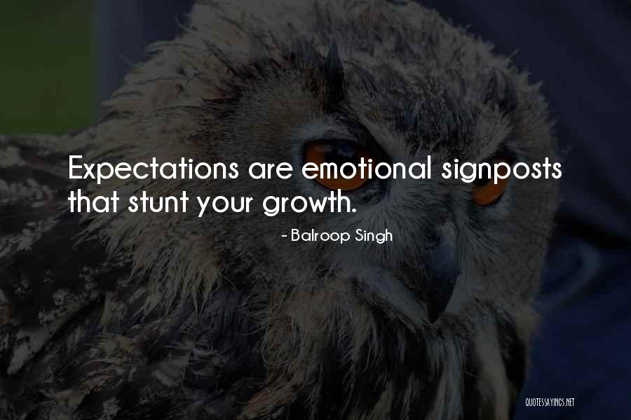 Eisenmann Quotes By Balroop Singh Eisenmann Quotes By Balroop Singh