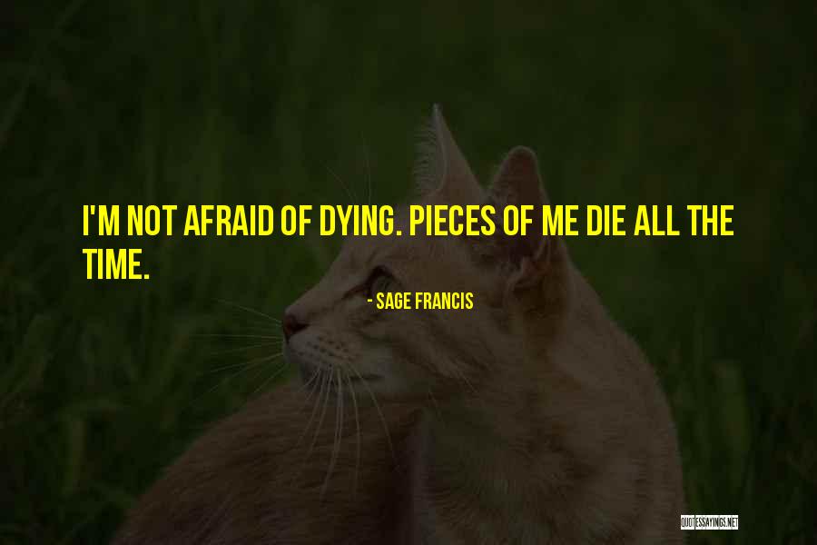Eisenmann Quotes By Sage Francis Eisenmann Quotes By Sage Francis