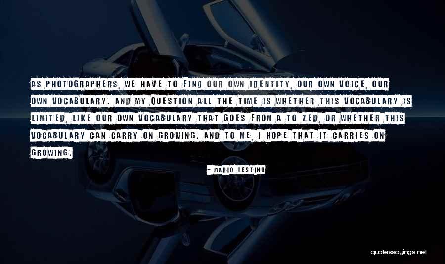 Eisenmayer Descendants Quotes By Mario Testino Eisenmayer Descendants Quotes By Mario Testino