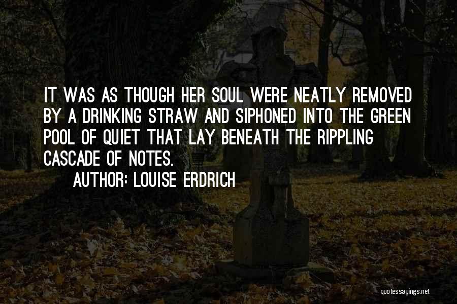 Eisenreich Nursing Quotes By Louise Erdrich