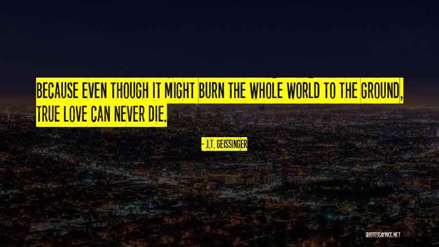Eisenstadt Photographer Quotes By J.T. Geissinger Eisenstadt Photographer Quotes By J.T. Geissinger