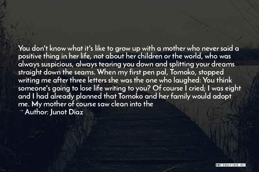 Either You Like It Or Not Quotes By Junot Diaz