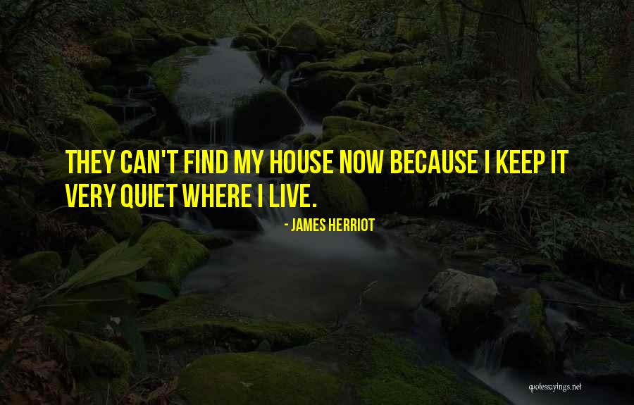 Ejecutados In English Quotes By James Herriot Ejecutados In English Quotes By James Herriot