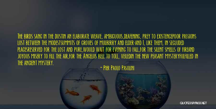 Ekali Runaway Quotes By Pier Paolo Pasolini Ekali Runaway Quotes By Pier Paolo Pasolini