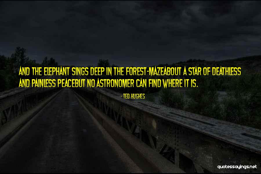 Ekamba Isipa Quotes By Ted Hughes Ekamba Isipa Quotes By Ted Hughes