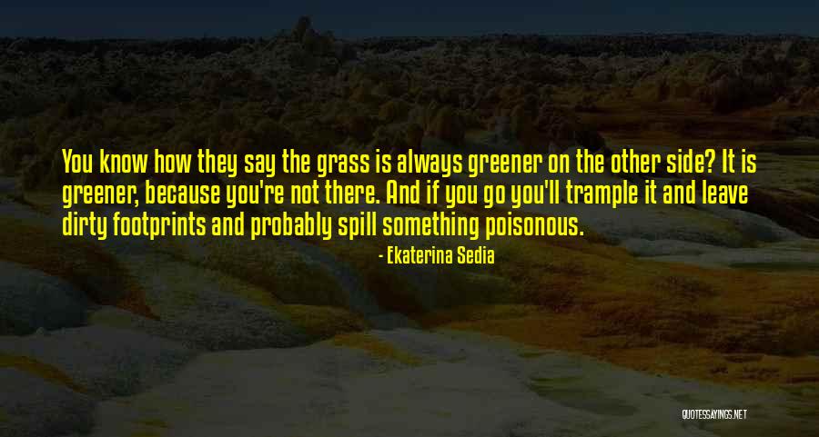 Ekaterina Sedia Quotes 1751662 Ekaterina Sedia Quotes 1751662