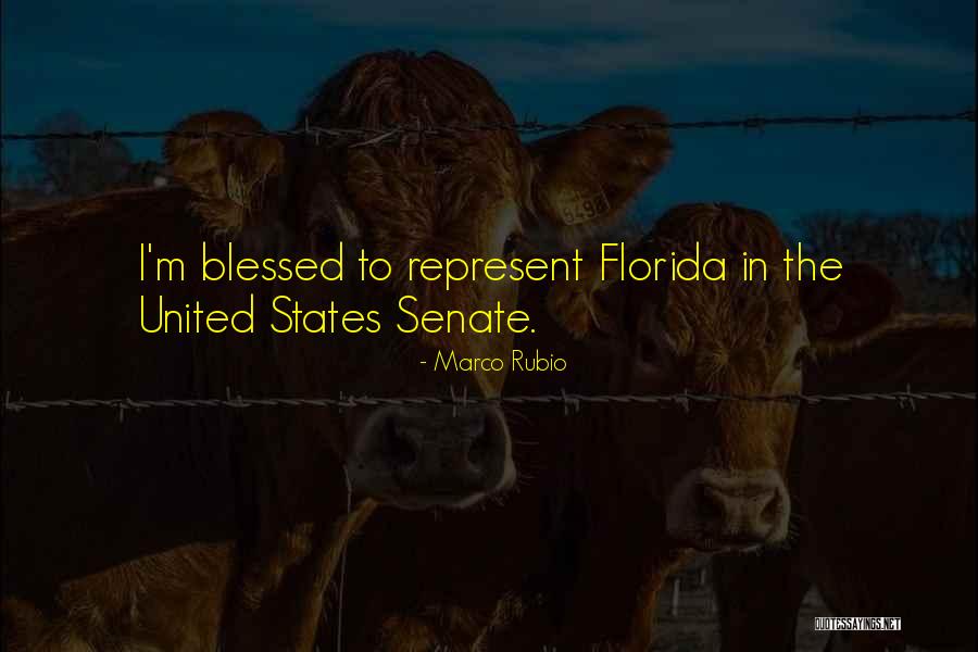 Ekholm Enterprises Quotes By Marco Rubio Ekholm Enterprises Quotes By Marco Rubio