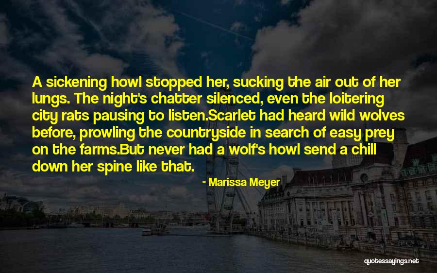 Ekholm Stats Quotes By Marissa Meyer Ekholm Stats Quotes By Marissa Meyer