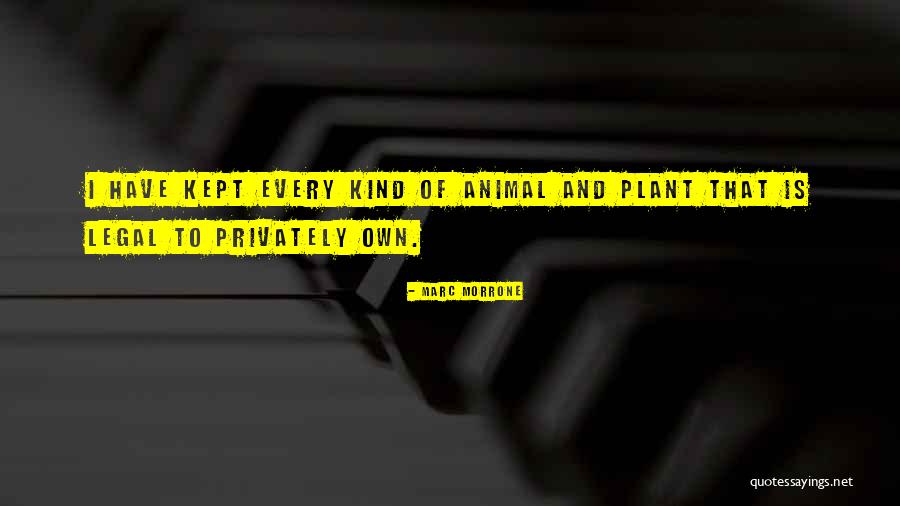Ekilebriyo Quotes By Marc Morrone Ekilebriyo Quotes By Marc Morrone