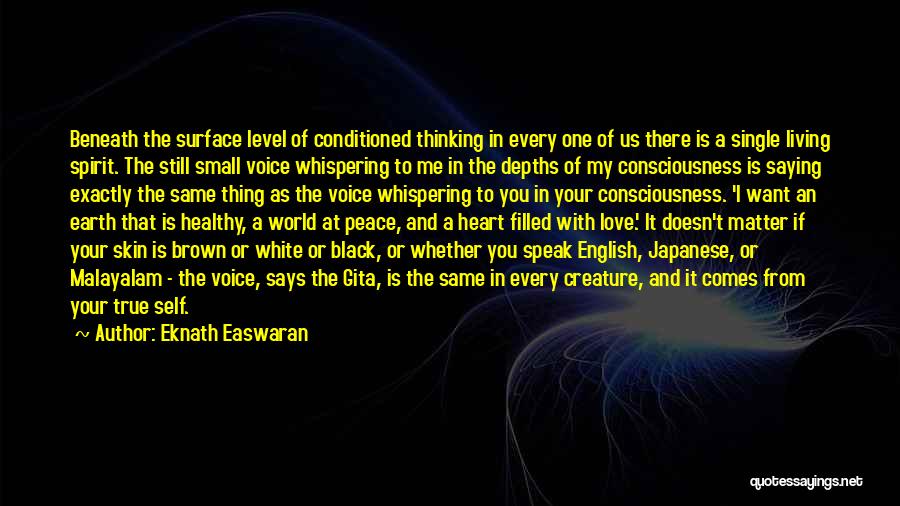 Eknath Easwaran Quotes 2179858