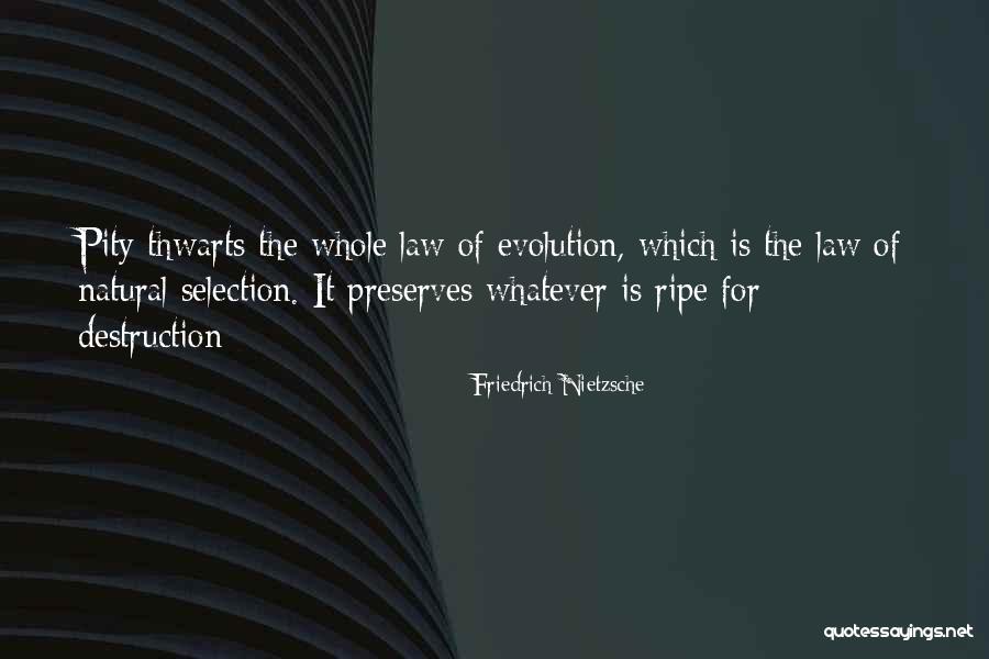 Ekpressbank Quotes By Friedrich Nietzsche Ekpressbank Quotes By Friedrich Nietzsche