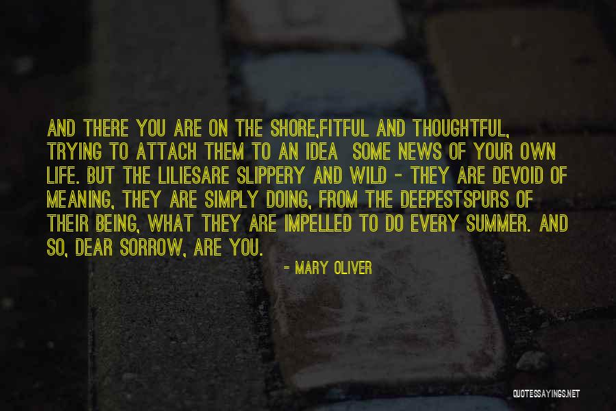 Eksperymenty Wiosna Quotes By Mary Oliver Eksperymenty Wiosna Quotes By Mary Oliver