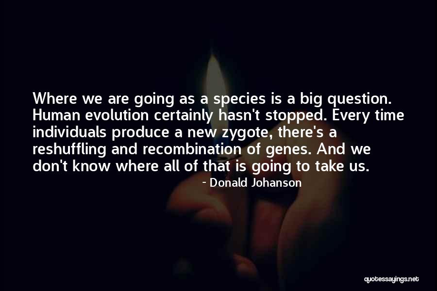 Ekstravagantna Quotes By Donald Johanson Ekstravagantna Quotes By Donald Johanson