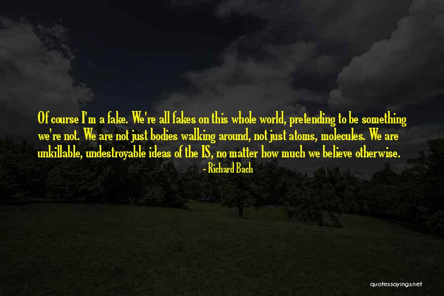 Ekstremalios Quotes By Richard Bach Ekstremalios Quotes By Richard Bach
