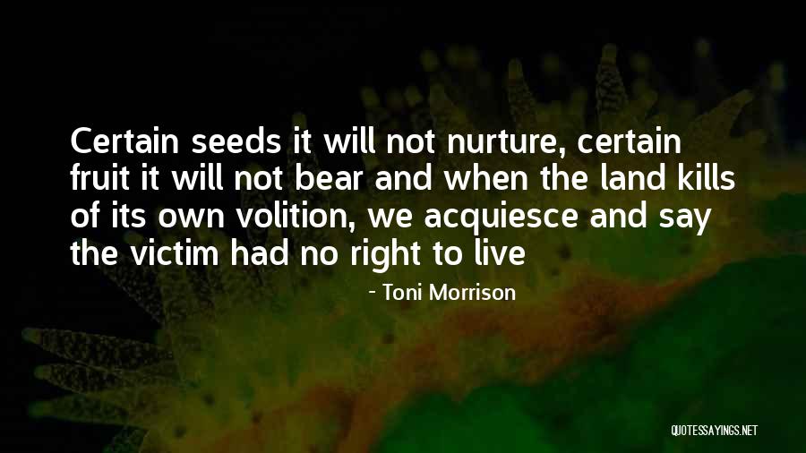 Ekuna Quotes By Toni Morrison Ekuna Quotes By Toni Morrison