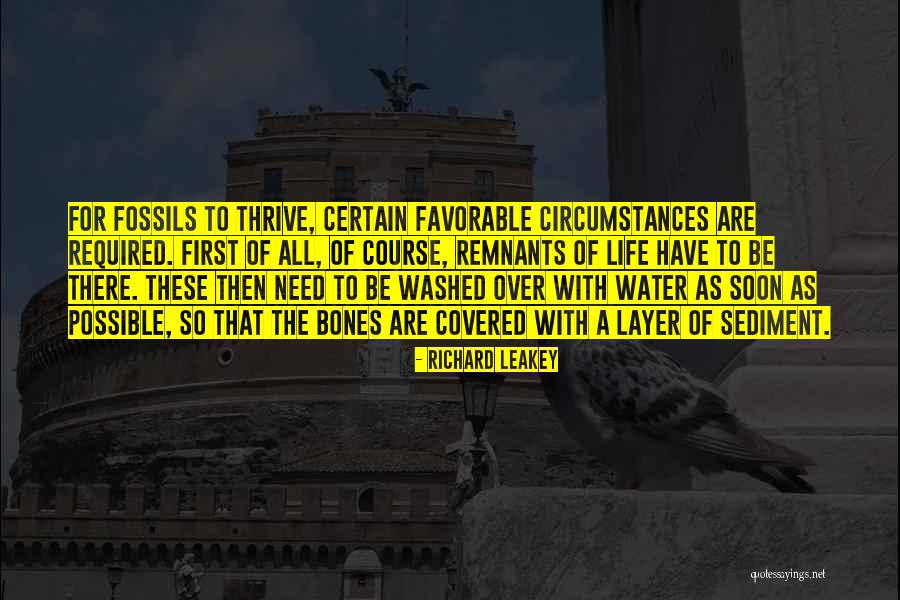 El Chespirito Quotes By Richard Leakey El Chespirito Quotes By Richard Leakey