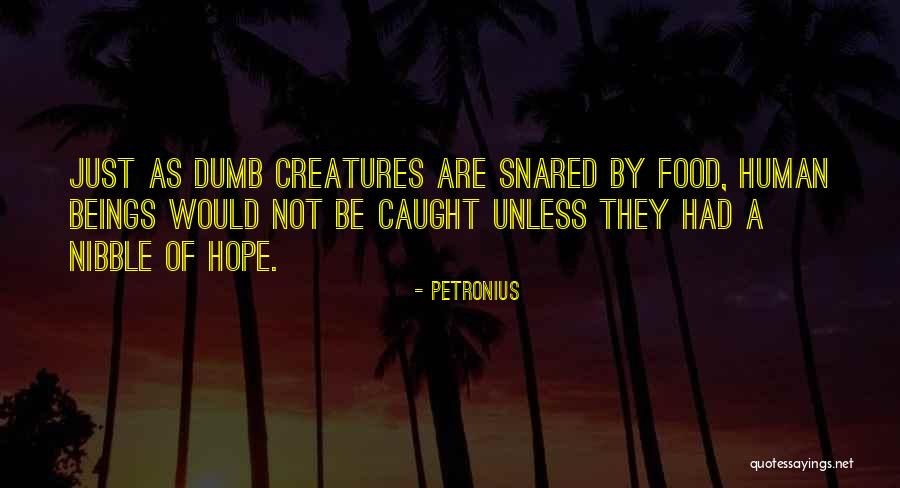 El Salame Quotes By Petronius El Salame Quotes By Petronius