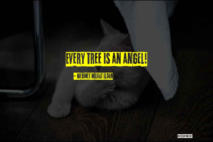 El Senor Knightdale Quotes By Mehmet Murat Ildan El Senor Knightdale Quotes By Mehmet Murat Ildan