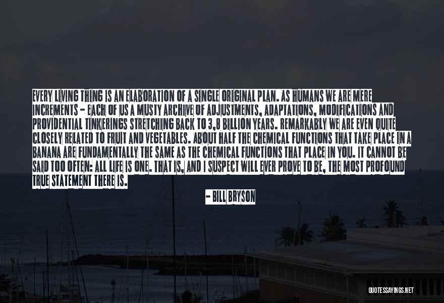 Elaboration Quotes By Bill Bryson Elaboration Quotes By Bill Bryson