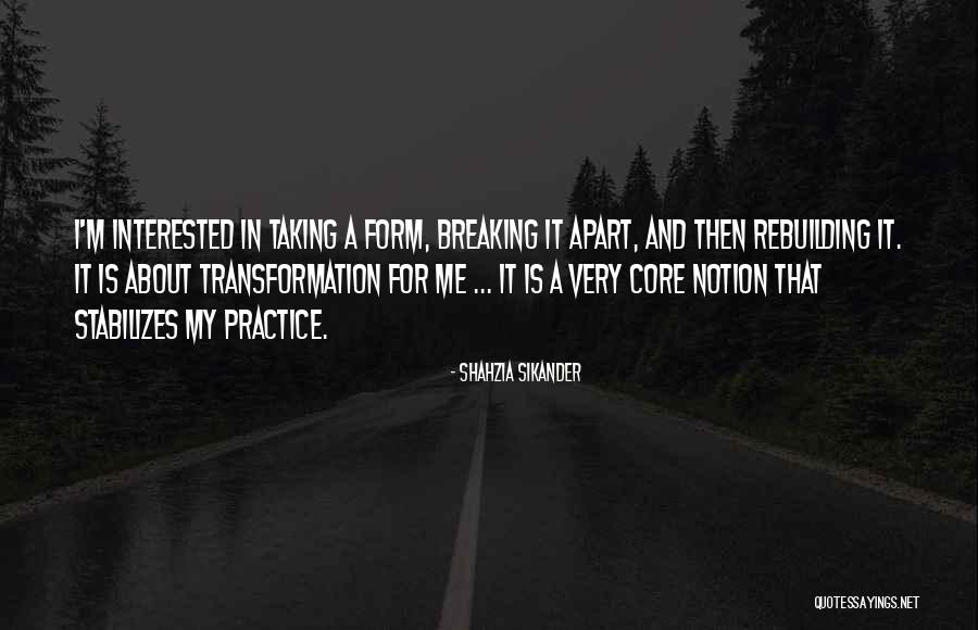 Elaboration Starters Quotes By Shahzia Sikander Elaboration Starters Quotes By Shahzia Sikander