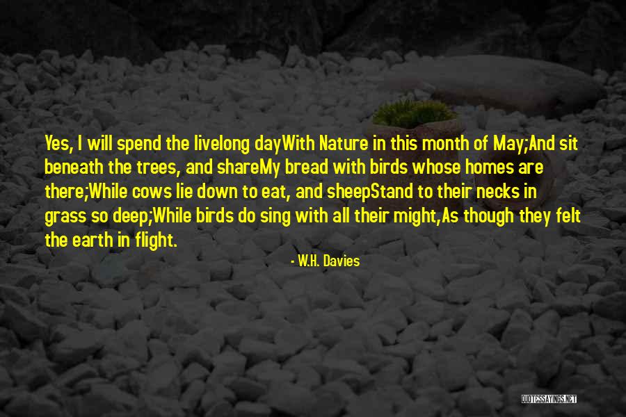 Elaborator Quotes By W.H. Davies Elaborator Quotes By W.H. Davies