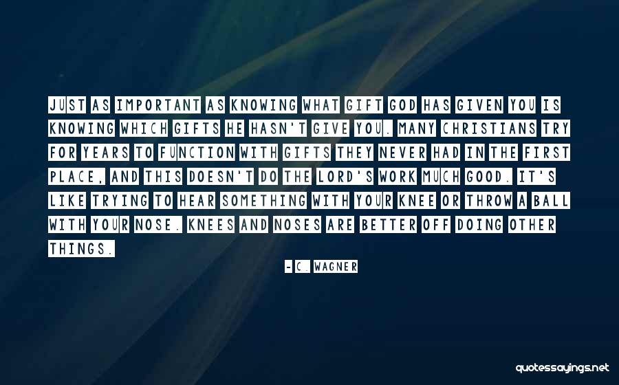 Elahe Toulouie Quotes By C. Wagner Elahe Toulouie Quotes By C. Wagner