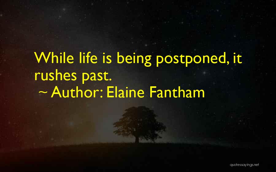 Elaine Fantham Quotes 1481524
