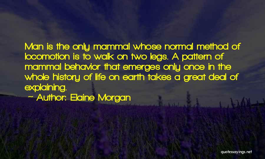 Elaine Morgan Quotes 205904