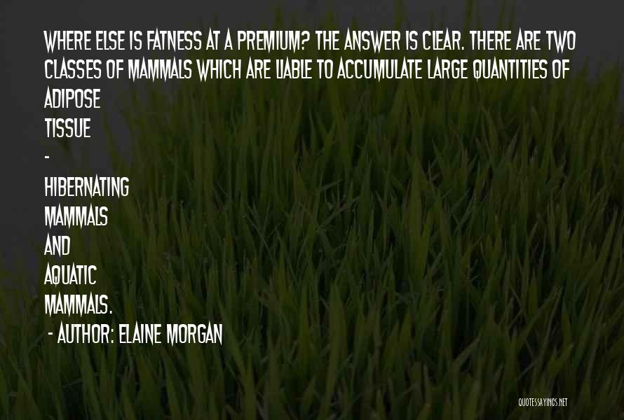 Elaine Morgan Quotes 433405