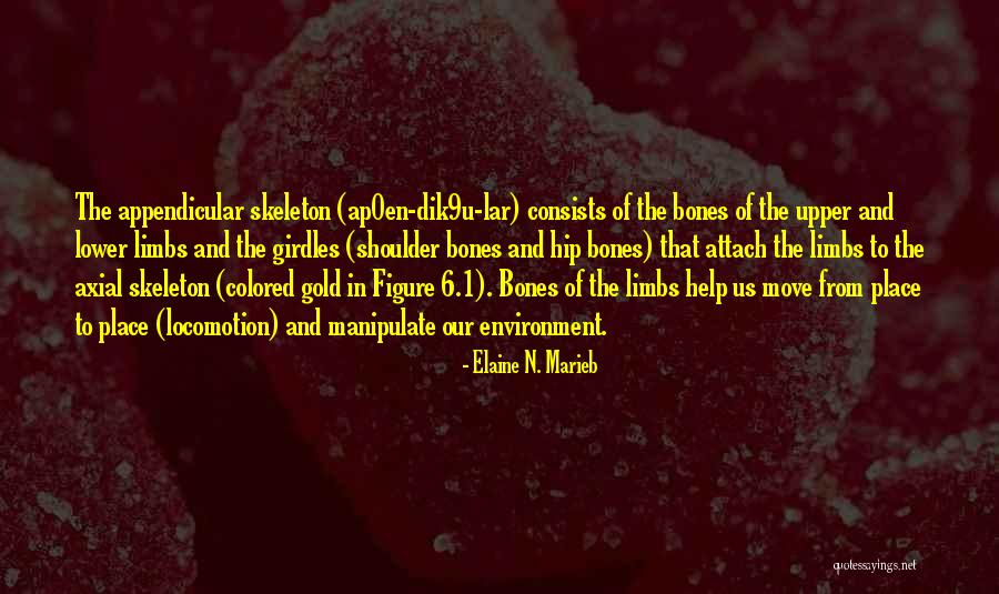 Elaine N. Marieb Quotes 1711280 Elaine N. Marieb Quotes 1711280