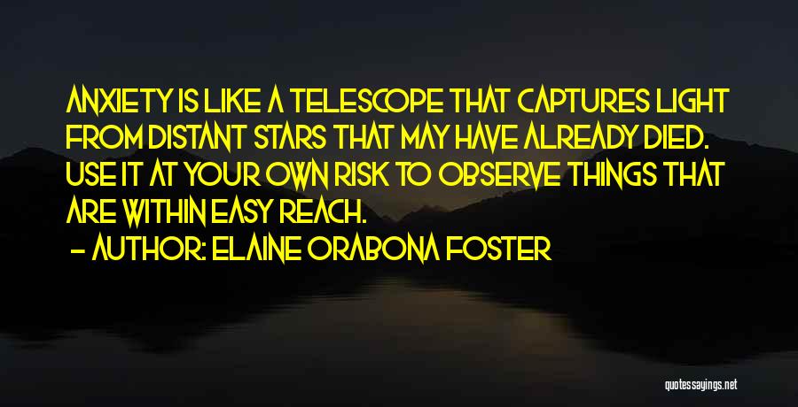 Elaine Orabona Foster Quotes 1455770