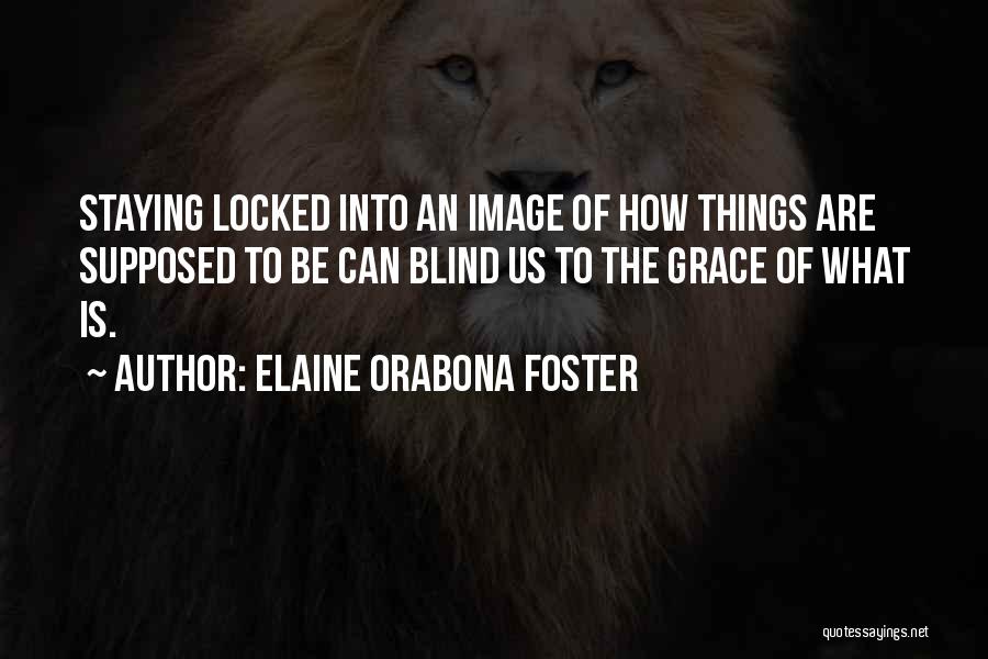 Elaine Orabona Foster Quotes 298643