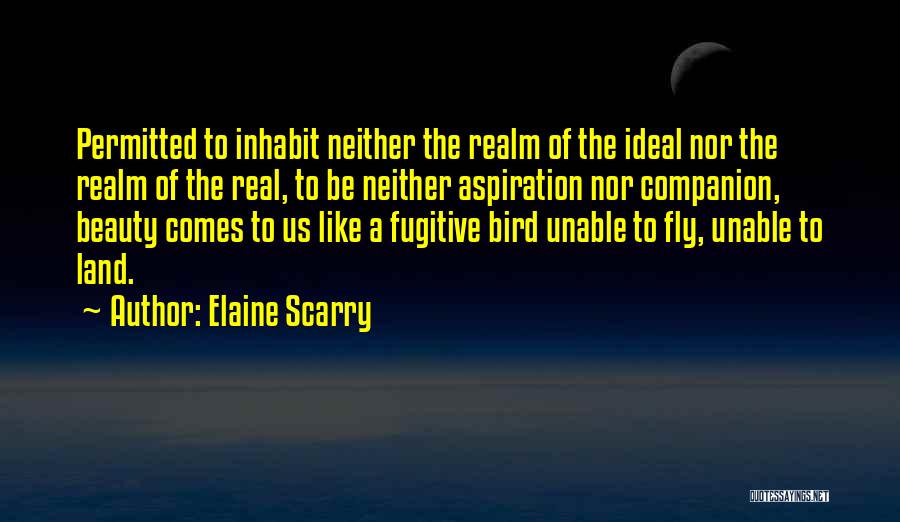 Elaine Scarry Quotes 2262968