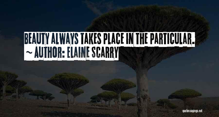 Elaine Scarry Quotes 670377