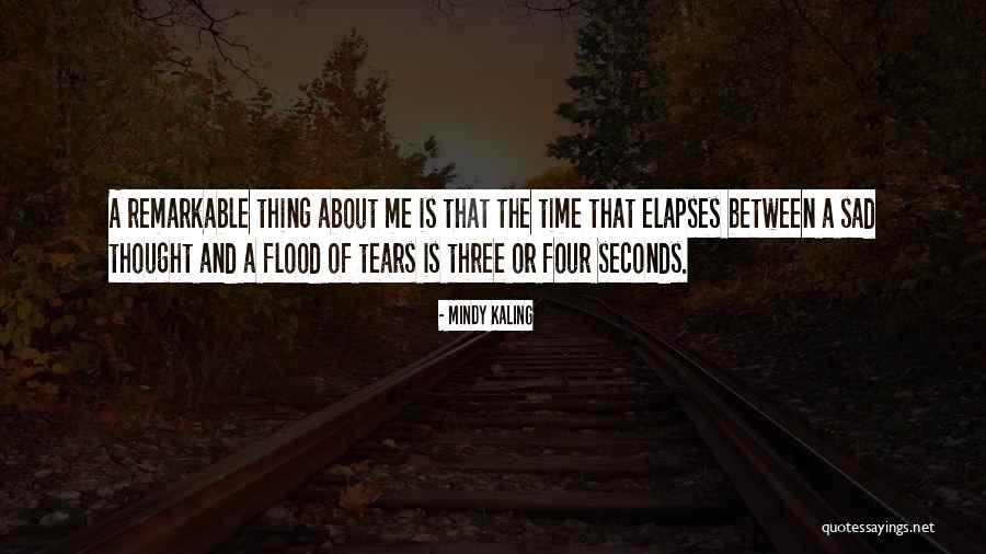 Elapses Quotes By Mindy Kaling Elapses Quotes By Mindy Kaling