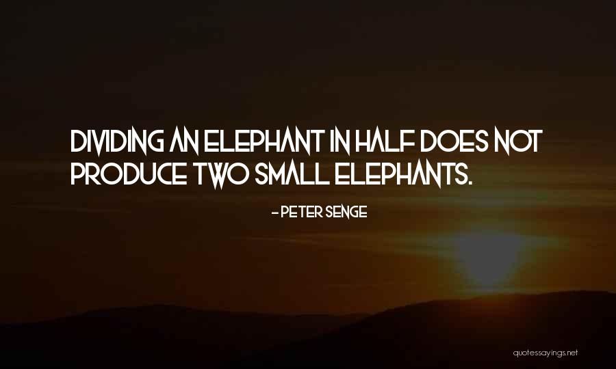 Elariz Memmedov Quotes By Peter Senge Elariz Memmedov Quotes By Peter Senge