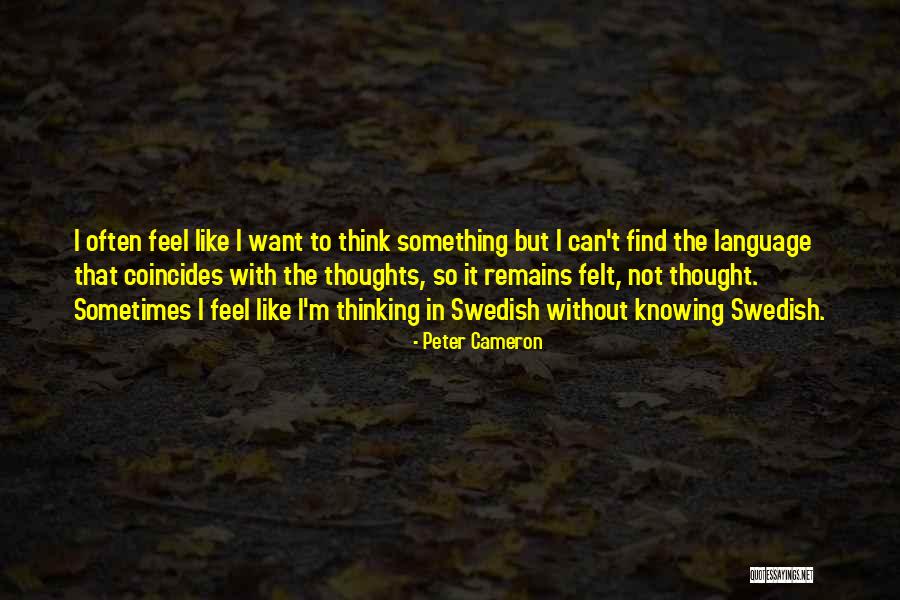 Elavanasurkottai Quotes By Peter Cameron Elavanasurkottai Quotes By Peter Cameron