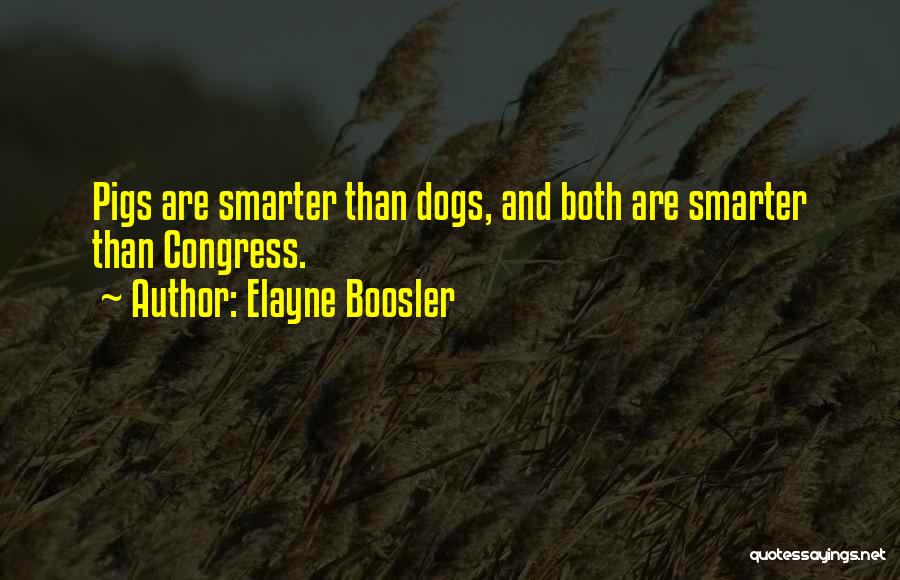 Elayne Boosler Quotes 2161804